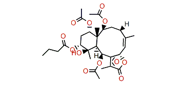 Briaviolide K